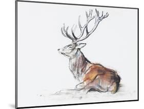 Seated Stag, 2006-Mark Adlington-Mounted Giclee Print