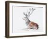 Seated Stag, 2006-Mark Adlington-Framed Giclee Print