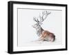 Seated Stag, 2006-Mark Adlington-Framed Giclee Print