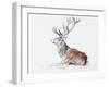 Seated Stag, 2006-Mark Adlington-Framed Giclee Print