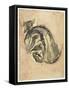 Seated Tortoiseshell Cat (Mixed Media on Paper)-Gwen John-Framed Stretched Canvas