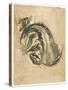 Seated Tortoiseshell Cat (Mixed Media on Paper)-Gwen John-Stretched Canvas