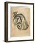 Seated Tortoiseshell Cat (Mixed Media on Paper)-Gwen John-Framed Giclee Print