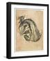 Seated Tortoiseshell Cat (Mixed Media on Paper)-Gwen John-Framed Giclee Print