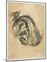 Seated Tortoiseshell Cat (Mixed Media on Paper)-Gwen John-Mounted Giclee Print