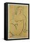 Seated Woman, 1914-Amedeo Modigliani-Framed Stretched Canvas