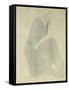 Seated Woman; Femme Assise-Auguste Rodin-Framed Stretched Canvas