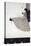 Seated Woman-Aubrey Beardsley-Stretched Canvas