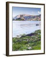 Seathrift Flowers in Front of Eilean Donan Castle and Loch Duich, Highlands, Scotland-Julian Elliott-Framed Photographic Print