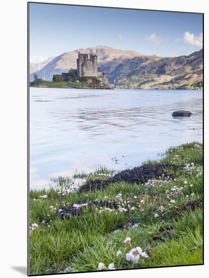 Seathrift Flowers in Front of Eilean Donan Castle and Loch Duich, Highlands, Scotland-Julian Elliott-Mounted Photographic Print