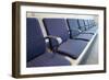 Seating in a Row-Chris Henderson-Framed Photographic Print