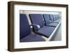 Seating in a Row-Chris Henderson-Framed Photographic Print