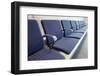 Seating in a Row-Chris Henderson-Framed Photographic Print