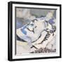 Seatoller, Cumbria-Christine McKechnie-Framed Giclee Print