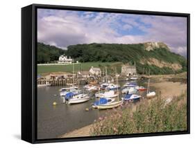 Seaton, Devon, England, United Kingdom-John Miller-Framed Stretched Canvas