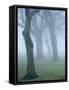 Seatroop-Craig Roberts-Framed Stretched Canvas