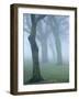 Seatroop-Craig Roberts-Framed Photographic Print