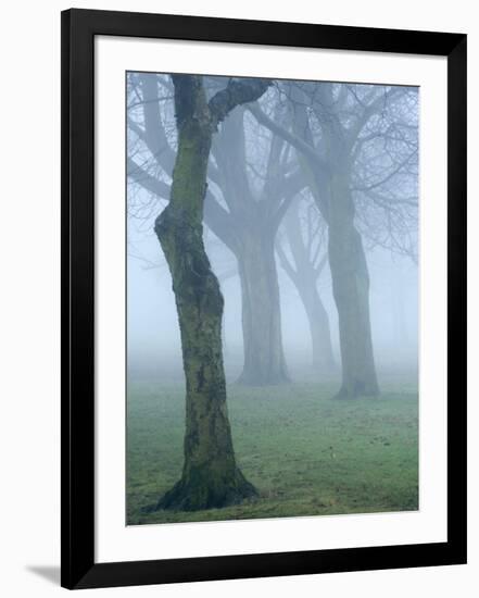 Seatroop-Craig Roberts-Framed Photographic Print