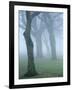 Seatroop-Craig Roberts-Framed Photographic Print