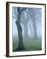 Seatroop-Craig Roberts-Framed Photographic Print