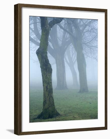 Seatroop-Craig Roberts-Framed Photographic Print