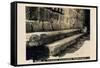 Seats in Byzantine Synagogue, Capernaum, Israel-null-Framed Stretched Canvas