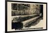 Seats in Byzantine Synagogue, Capernaum, Israel-null-Framed Photographic Print