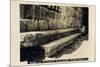 Seats in Byzantine Synagogue, Capernaum, Israel-null-Mounted Photographic Print
