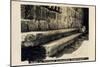 Seats in Byzantine Synagogue, Capernaum, Israel-null-Mounted Photographic Print