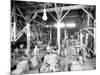 Seattle Brewing & Malting Co., Cooper Shop, 1914-Asahel Curtis-Mounted Giclee Print