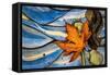 Seattle Fall-Ursula Abresch-Framed Stretched Canvas