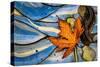 Seattle Fall-Ursula Abresch-Stretched Canvas