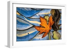 Seattle Fall-Ursula Abresch-Framed Photographic Print