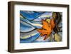 Seattle Fall-Ursula Abresch-Framed Photographic Print