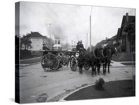 Seattle Fire Department Horse-Drawn Steam Pumper, 1907-Ashael Curtis-Stretched Canvas