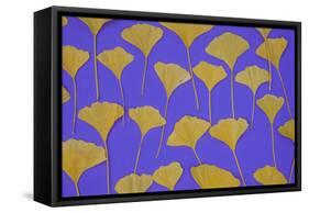 Seattle Ginko-Art Wolfe-Framed Stretched Canvas