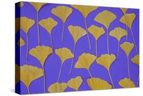 Seattle Ginko-Art Wolfe-Stretched Canvas