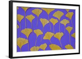 Seattle Ginko-Art Wolfe-Framed Photographic Print