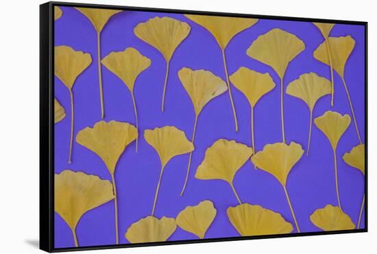 Seattle Ginko-Art Wolfe-Framed Stretched Canvas
