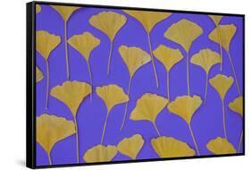 Seattle Ginko-Art Wolfe-Framed Stretched Canvas