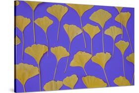 Seattle Ginko-Art Wolfe-Stretched Canvas