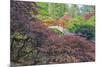 Seattle, Kubota Gardens, Spring Flowers and Japanese Maple with Moon Bridge in Reflection-Terry Eggers-Mounted Premium Photographic Print