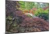 Seattle, Kubota Gardens, Spring Flowers and Japanese Maple with Moon Bridge in Reflection-Terry Eggers-Mounted Photographic Print