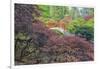 Seattle, Kubota Gardens, Spring Flowers and Japanese Maple with Moon Bridge in Reflection-Terry Eggers-Framed Photographic Print