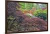 Seattle, Kubota Gardens, Spring Flowers and Japanese Maple with Moon Bridge in Reflection-Terry Eggers-Framed Photographic Print