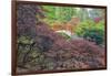 Seattle, Kubota Gardens, Spring Flowers and Japanese Maple with Moon Bridge in Reflection-Terry Eggers-Framed Photographic Print