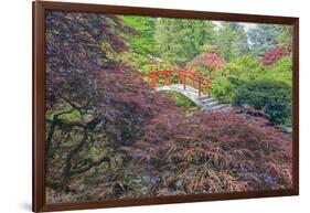 Seattle, Kubota Gardens, Spring Flowers and Japanese Maple with Moon Bridge in Reflection-Terry Eggers-Framed Photographic Print