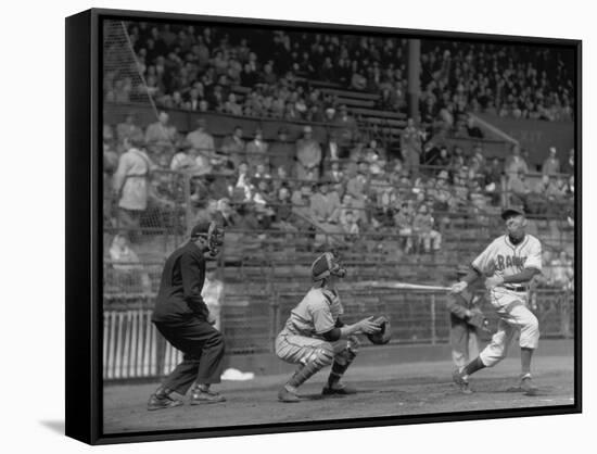 Seattle Rainiers at bat Photograph - Seattle, WA-Lantern Press-Framed Stretched Canvas