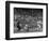 Seattle Rainiers at bat Photograph - Seattle, WA-Lantern Press-Framed Art Print