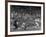 Seattle Rainiers at bat Photograph - Seattle, WA-Lantern Press-Framed Art Print